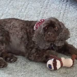 Meet your Posher, Tammy